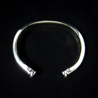 �V���o�[�E�o���O��(TypeB)