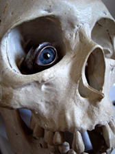 �`�჊���O