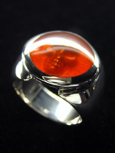 �����X�J�������O