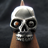 �X�J�������O