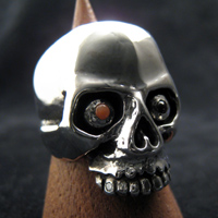 �X�J�������O