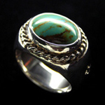 �^�[�R�C�Y�E�����O 