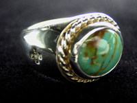 �^�[�R�C�Y�����O