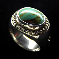 �^�[�R�C�Y�����O