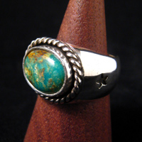 �^�[�R�C�Y�����O