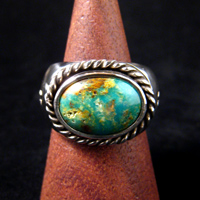 �^�[�R�C�Y�����O