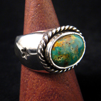 �^�[�R�C�Y�����O