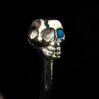 �X�J���o���O��