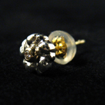 �t�����[�s�A�X