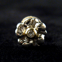 �t�����[�s�A�X