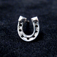 Horseshoe �s�A�X