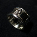 �X�J�������O