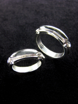 �V���o�[�E�����O