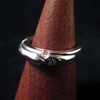 �V���o�[�E�����O