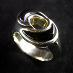 �΋Ƀ����O�i�I�j�L�X&times;�w�}�^�C�g�j