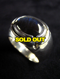 スペクトロライト・リングTypeA