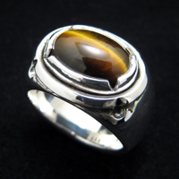 �^�C�K�[�A�C