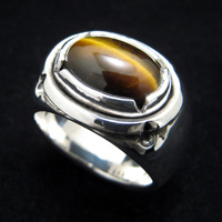 �ΈႢ�̃^�C�K�[�A�C