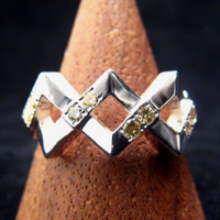 �g���j�e�B�[�����O