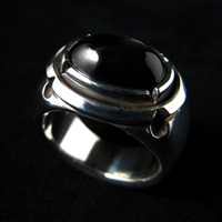 �X�^�[�_�C�I�v�T�C�g�����O